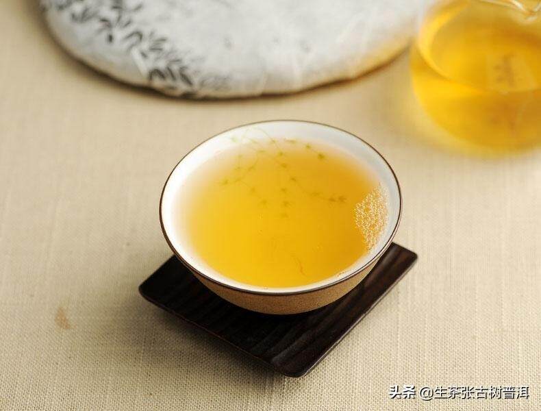 千年古寨章朗，巴达古树茶最多最出名的山头，你喝过章朗茶吗？