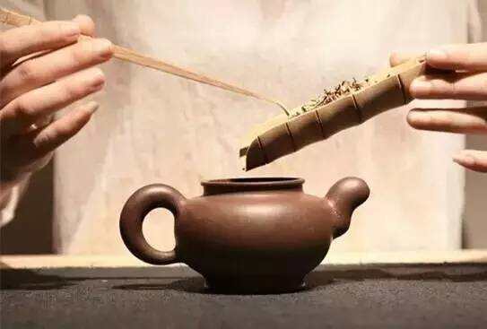 《老徐谈茶》第四十四期：冲泡普洱茶手法很重要，当然前提是水开没开