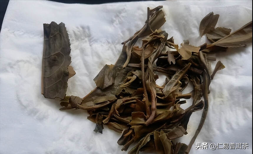2022年茶叶品质总结，老班章茶王树的现状