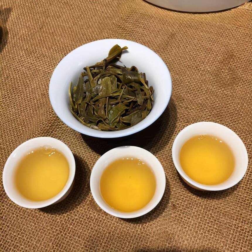 云南西双版纳古6大茶山普洱茶现状怎么样？普洱茶有什么特点？