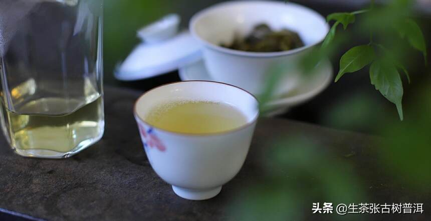 普洱茶客们都需要了解茶叶哪些方面的知识？