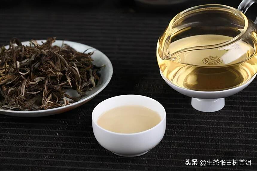 单株古树茶是什么？云南单株普洱古树茶这么贵，茶友为啥喜欢喝？