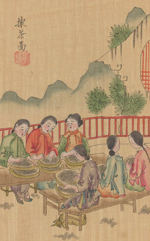 从清代绢本彩绘《茶景全图》看中国传统制茶工艺