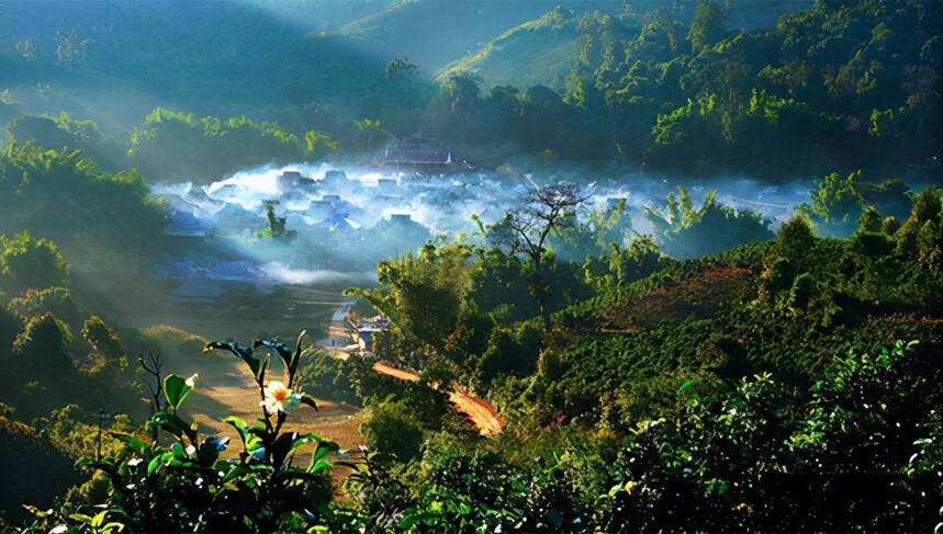 全面解读：“中国普洱茶第一县”勐海有哪些特点？如此吸引人？