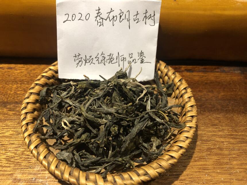 《老徐鉴茶》第352期：2020布朗古树春茶品鉴报告（天津茶友寄）