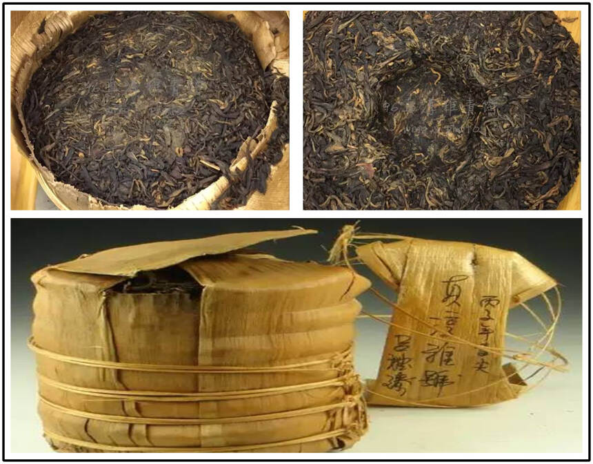 《茶友聊茶》第7期：普洱茶传统技艺的恢复及传播者——张毅