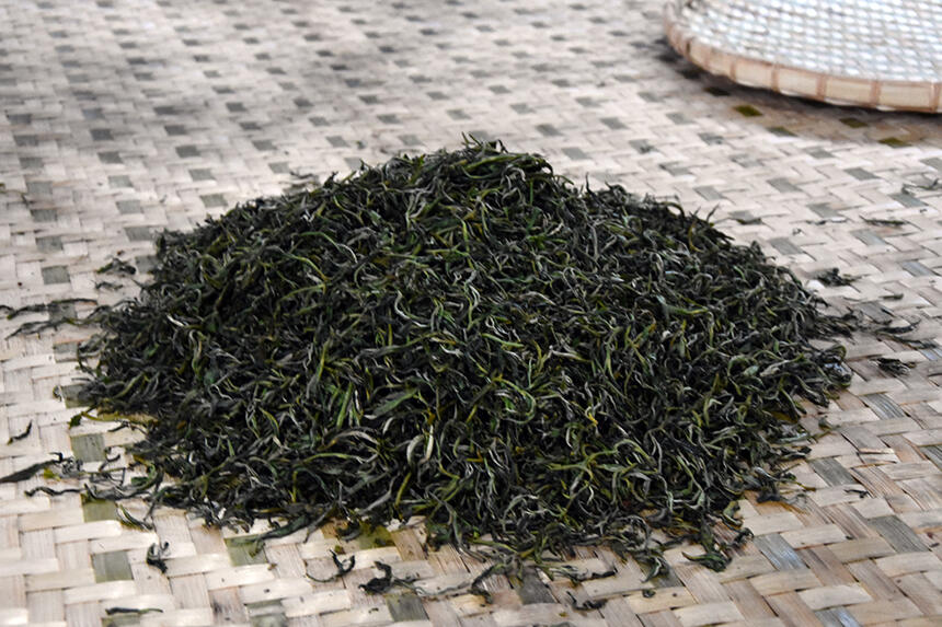 为什么越来越多的名山古树茶都是新茶好喝，越存越薄？