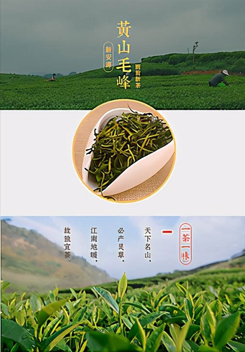 盘点中国的天价茶，没想到绿茶占了这么多（上）