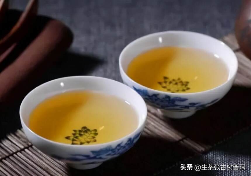 「喝茶说茶」全面读懂普洱茶并不是一件易事，特别是古树普洱茶