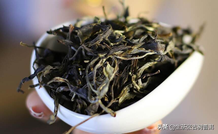 普洱茶客们都需要了解茶叶哪些方面的知识？
