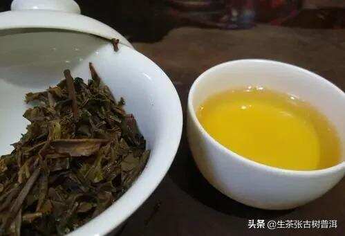大雪山普洱茶产地在哪里？大雪山古茶茶品质优良的原因是什么？