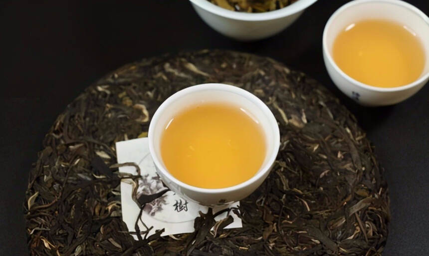易武麻黑属于什么茶？有古树茶吗？麻黑普洱茶口感有哪些特点？