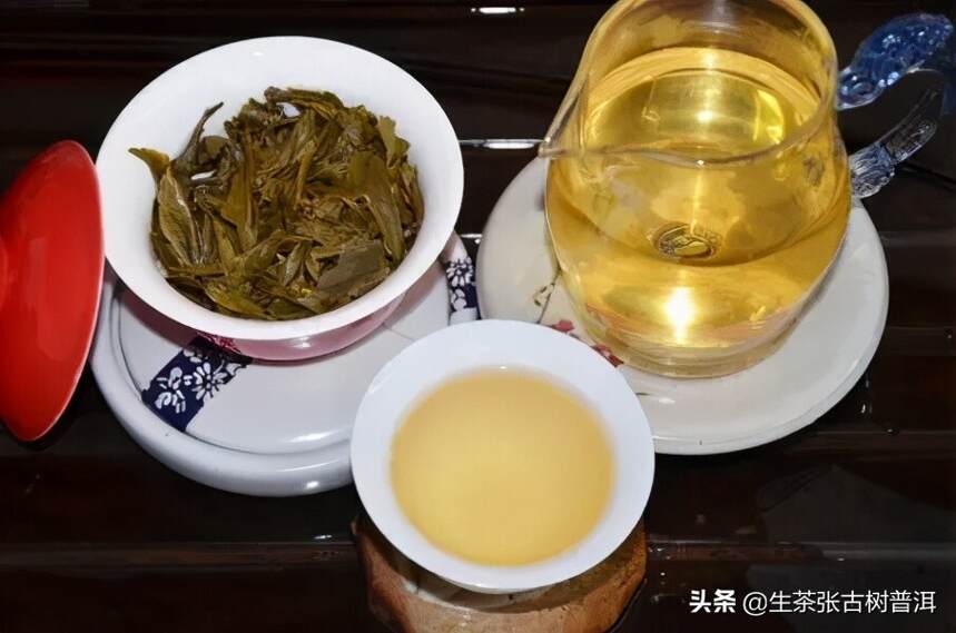 如何判断古树茶？耐泡的普洱茶一定就是古树茶吗？
