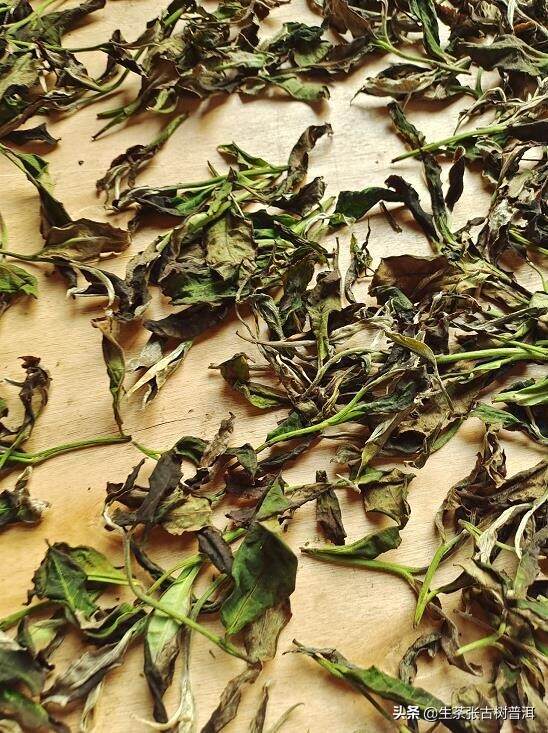 普洱茶知名茶区的著名山头有哪些？每个山头普洱茶有什么特点？