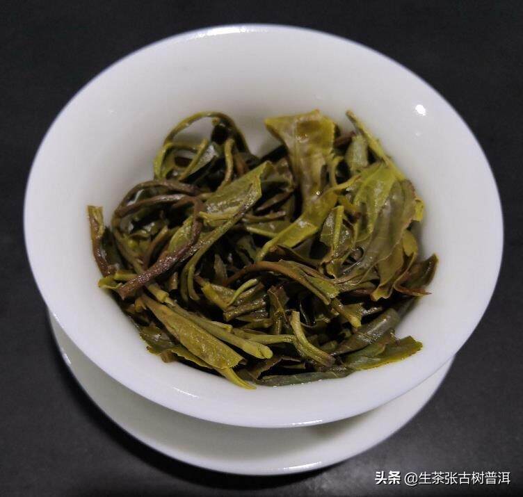 详谈：古茶山中的稀世之珍，南糯山古树普洱茶