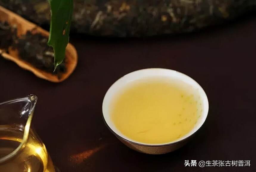 云南古树普洱茶好在哪？相比小树茶、台地茶有何不同？