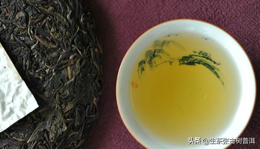 普洱茶生态茶与古树茶有哪些区别？