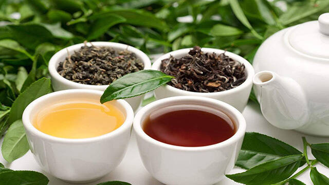 老徐谈茶61期：普洱茶的香、气，个中滋味你能品得出吗？—图文版
