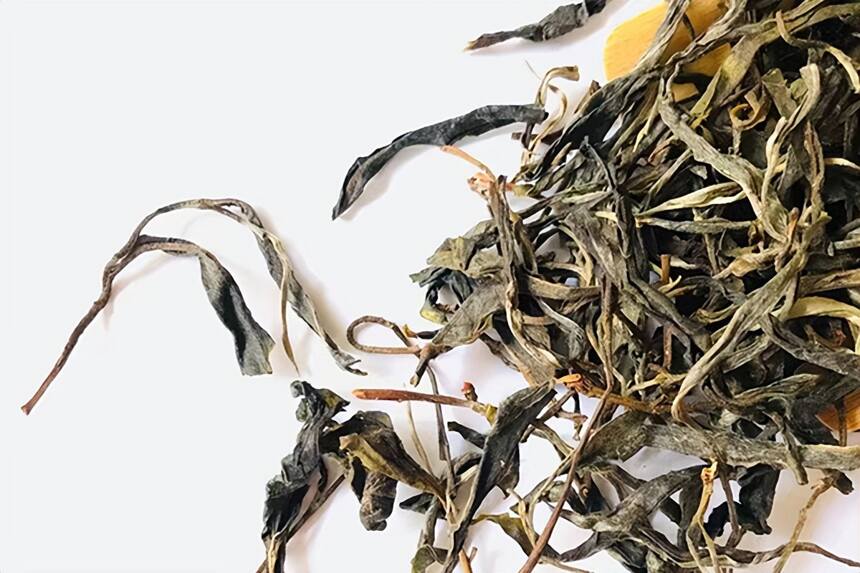 云南「昔归」古树茶，唯一低海拔出好茶的地方，值6000/KG吗？