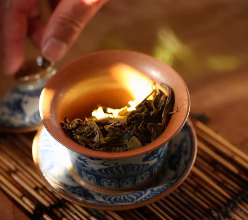 蛮砖普洱茶的口感有何特点？它和易武茶的区别是什么？