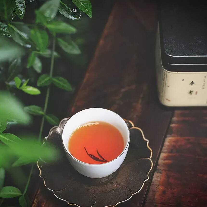 中国工程院院士刘院士：茶行业真的病了？