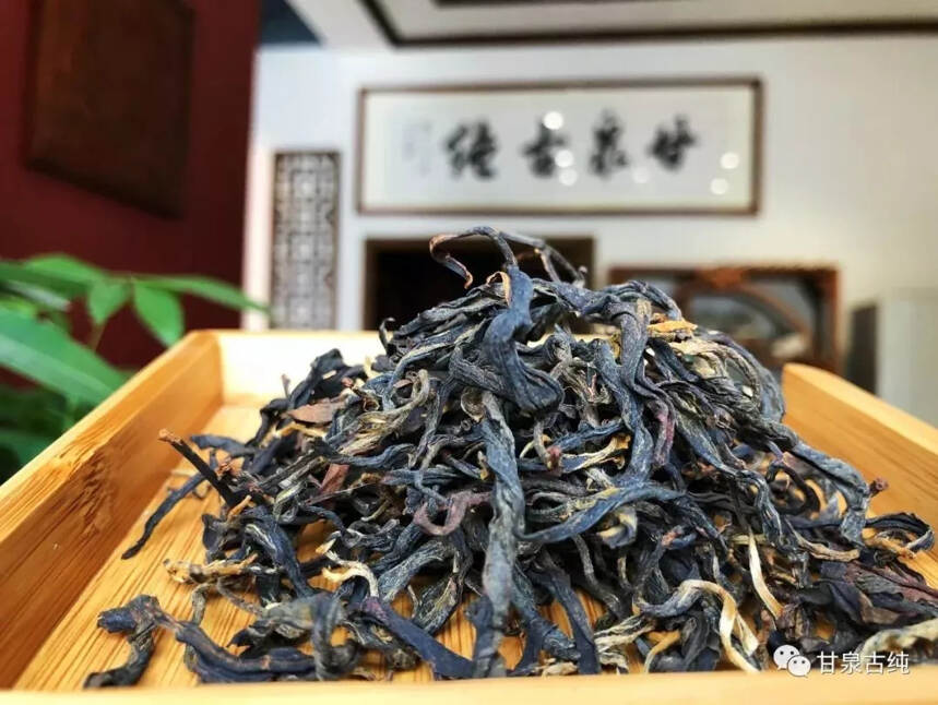 古树晒青红茶和传统红茶的区别
