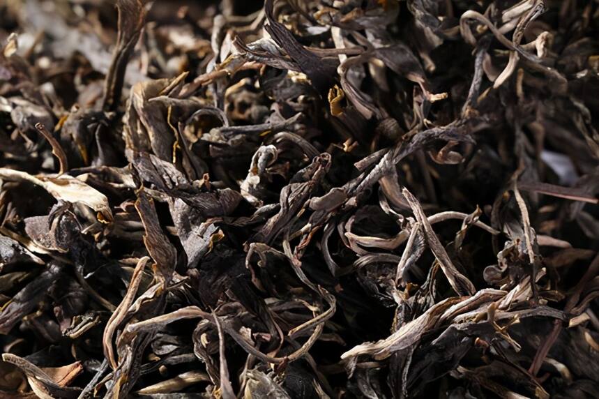 细说麻黑普洱茶品质特点，如何区分麻黑古树普洱茶？