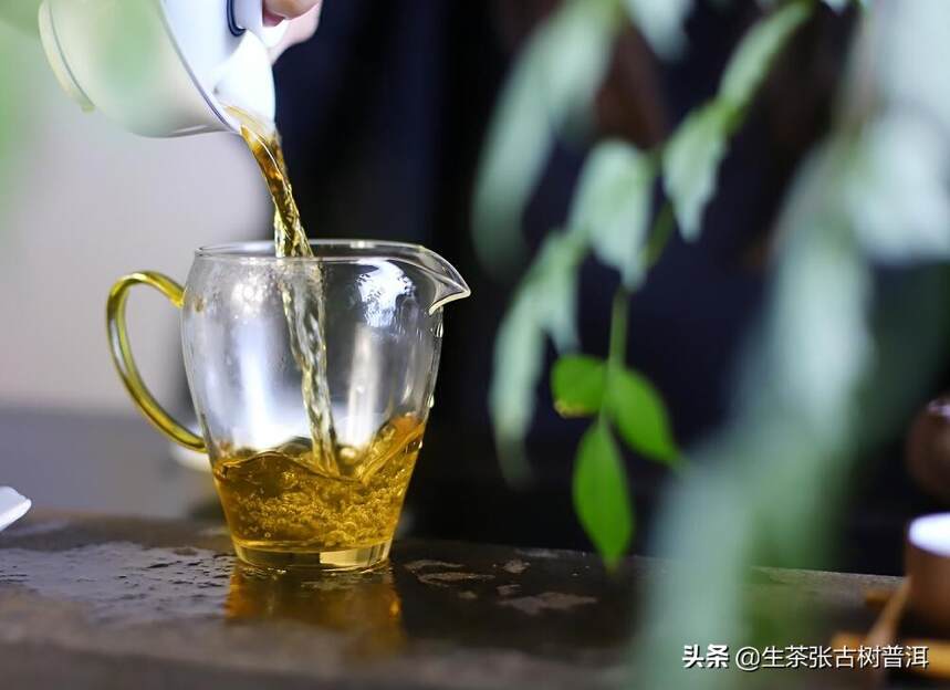 什么是普洱藤条茶？为何藤条古树茶如此受追捧？