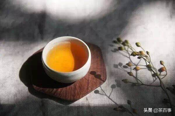 都说普洱老茶好，是不是普洱新茶就很难喝，新茶老茶如何选
