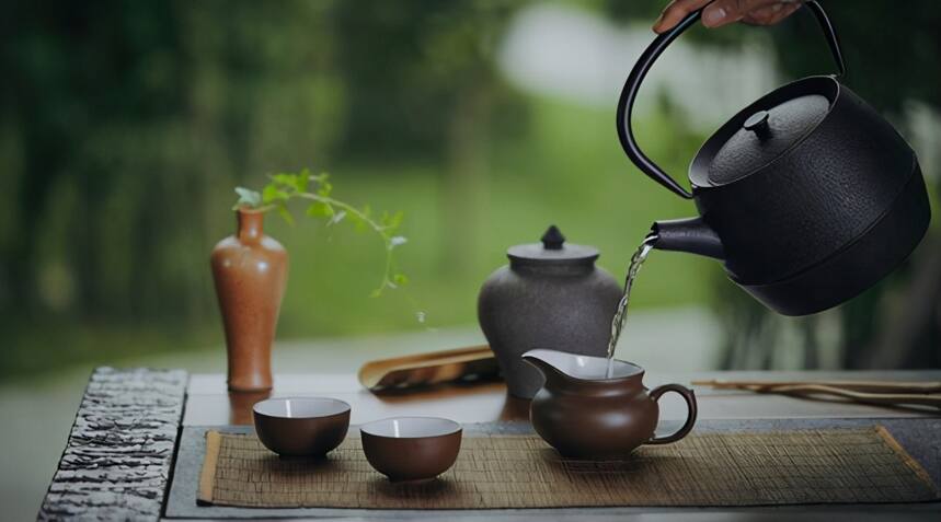 茶友入门必备：普洱茶的专业术语知识，评茶必备技能
