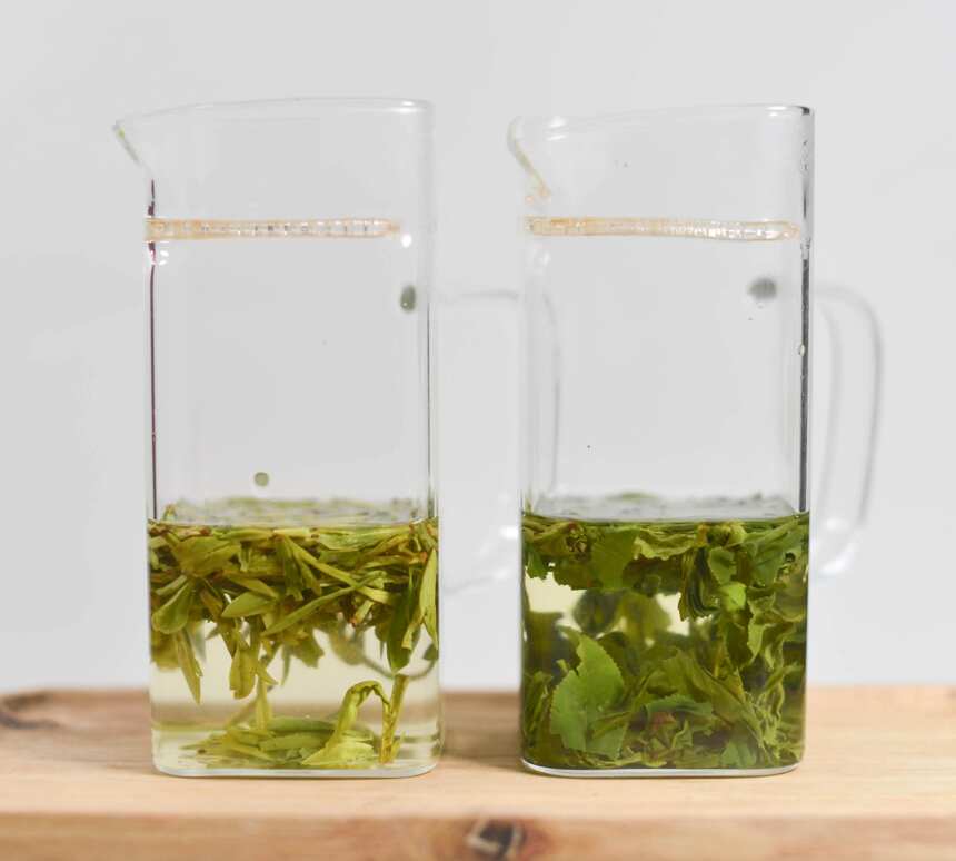 「绿茶对冲」 浙江龙井与安徽六安瓜片来过招，安徽能否扳回一程？