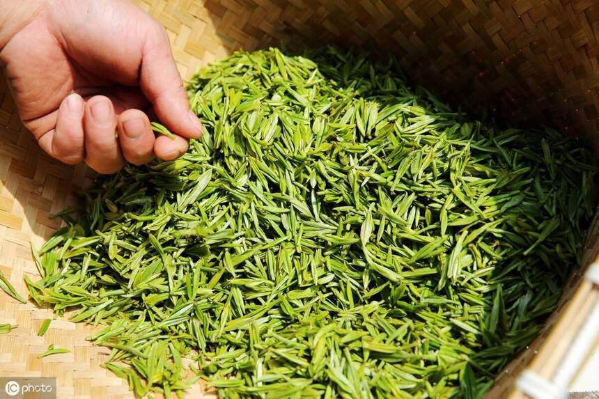 《茶经·三之造》：茶圣陆羽告诉你如何采茶、如何鉴别茶的好坏