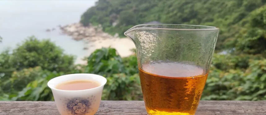 古道源头，世界茶都。云南边境的普洱，在清朝的地位有多高？