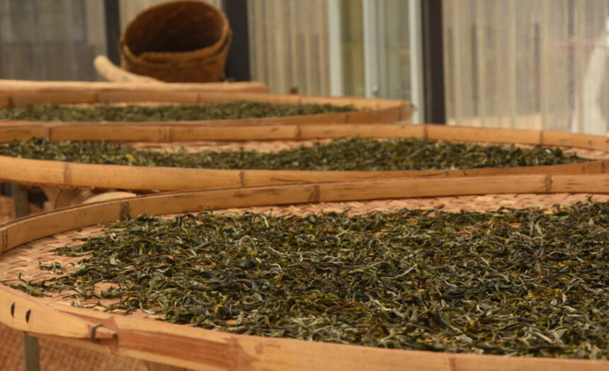 2020年世界茶叶市场出现大变局！中国茶叶的机会终于来了