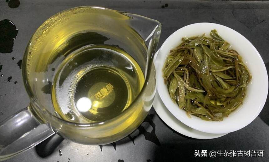 古六大茶山之莽枝古茶山，莽枝普洱古树茶的特点是什么？
