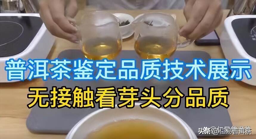 绝妙精湛的普洱茶品茶技术，怎样让茶回归到原始，本质状态？