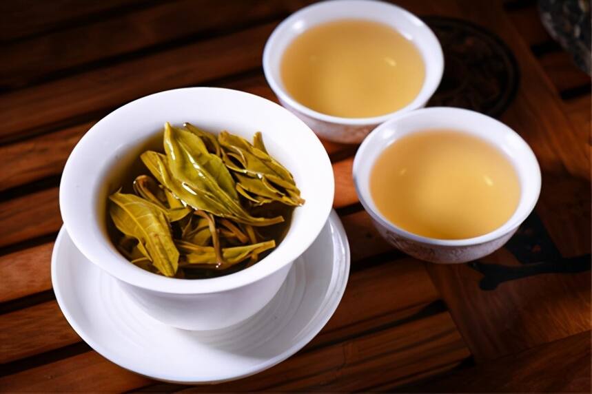 生茶张：看普洱茶叶底也能辨别茶叶的好坏？