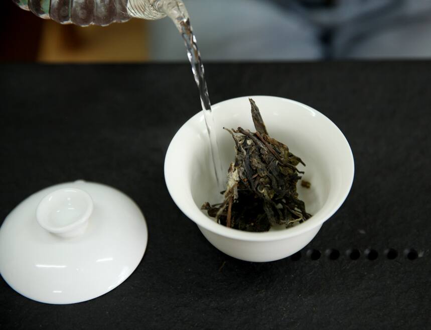 抛开临沧茶的涩，临沧普洱茶有5点你不知道的好？