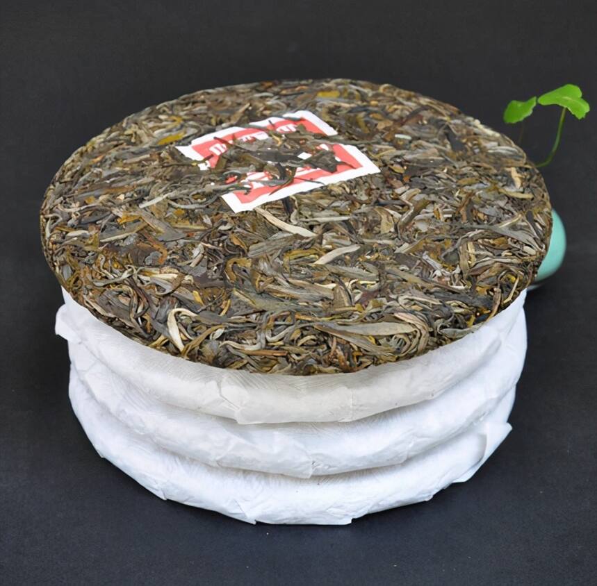 概述：普洱茶大、中、小叶种茶树分布情况及其每个代表茶的特点
