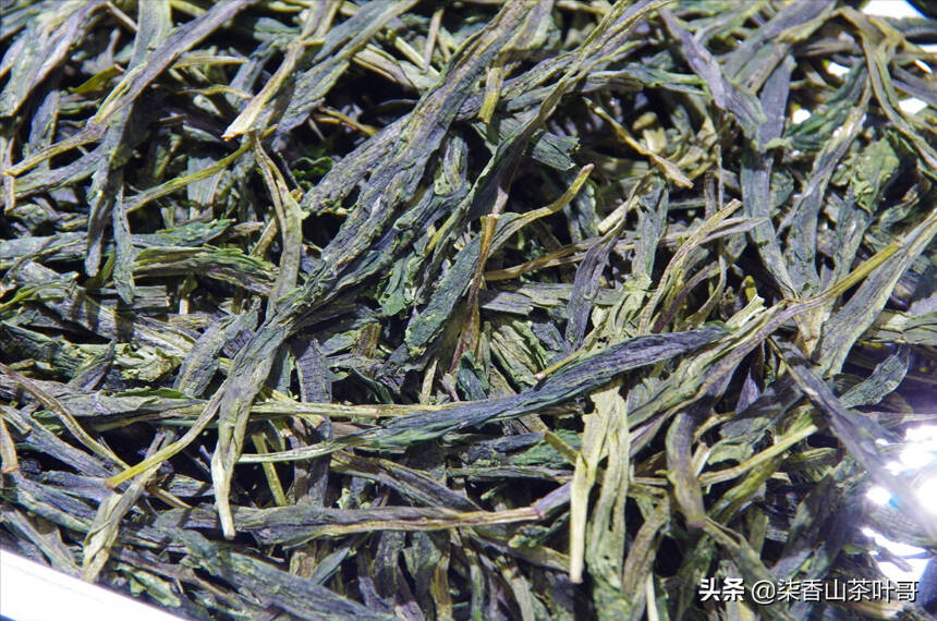 野生种茶做生普不好喝？并非如此，看完了解高价值的优质茶品