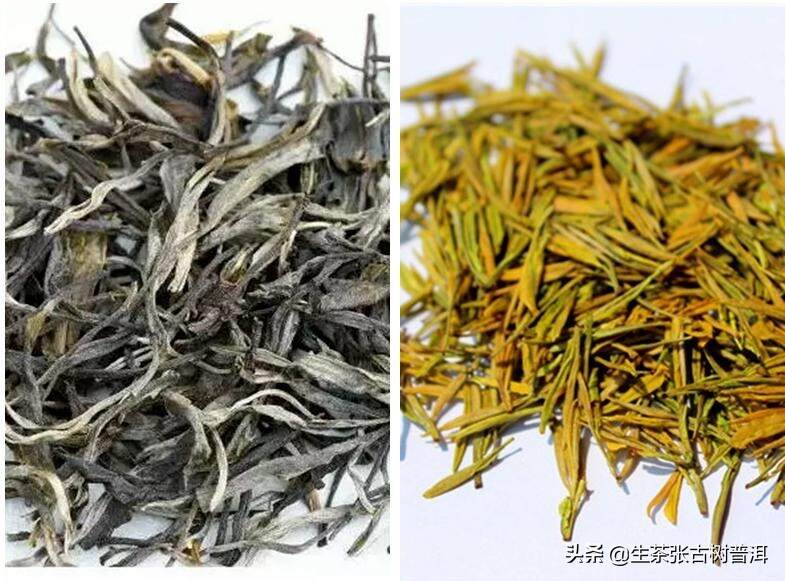 黄茶化的普洱茶品质如何？黄茶化的普洱茶是不是黄茶呢？