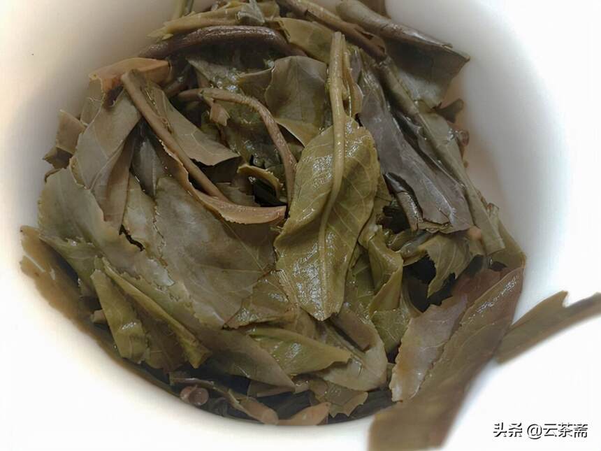 常年跑茶山才知道的不传之秘，看叶底和茶汤到底在看什么？