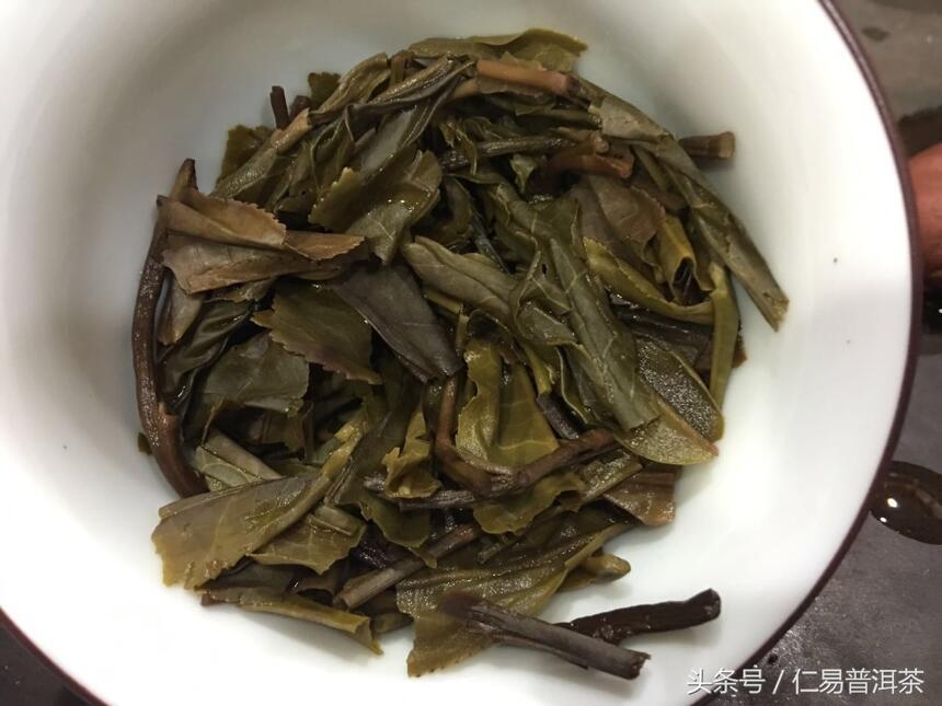 仁易说茶：昔归大小树混采评测，看起来很像古树普洱茶