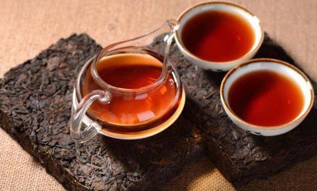 为什么普洱老茶会长茶虫？