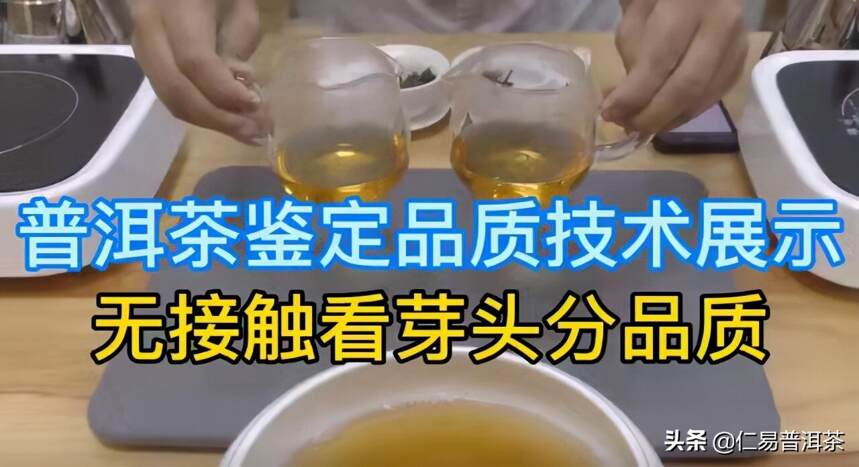 入门茶或者普洱茶为什么要从新茶生茶开始喝？（一）