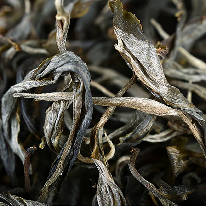 古树生普有什么优势？普洱古树生茶怎么喝比较好？
