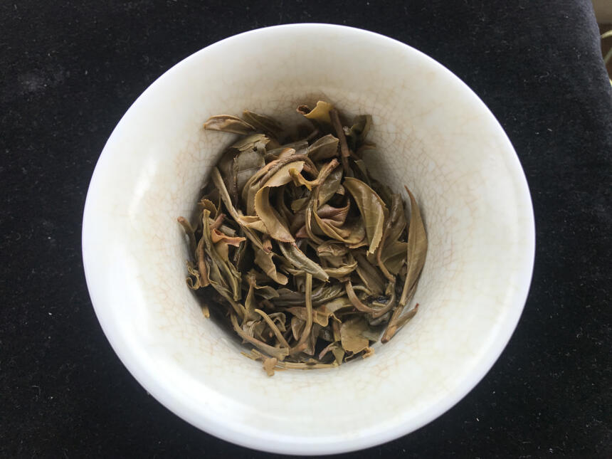 老徐鉴茶245：2017布朗山100~200年树龄古树茶品鉴报告（上海）