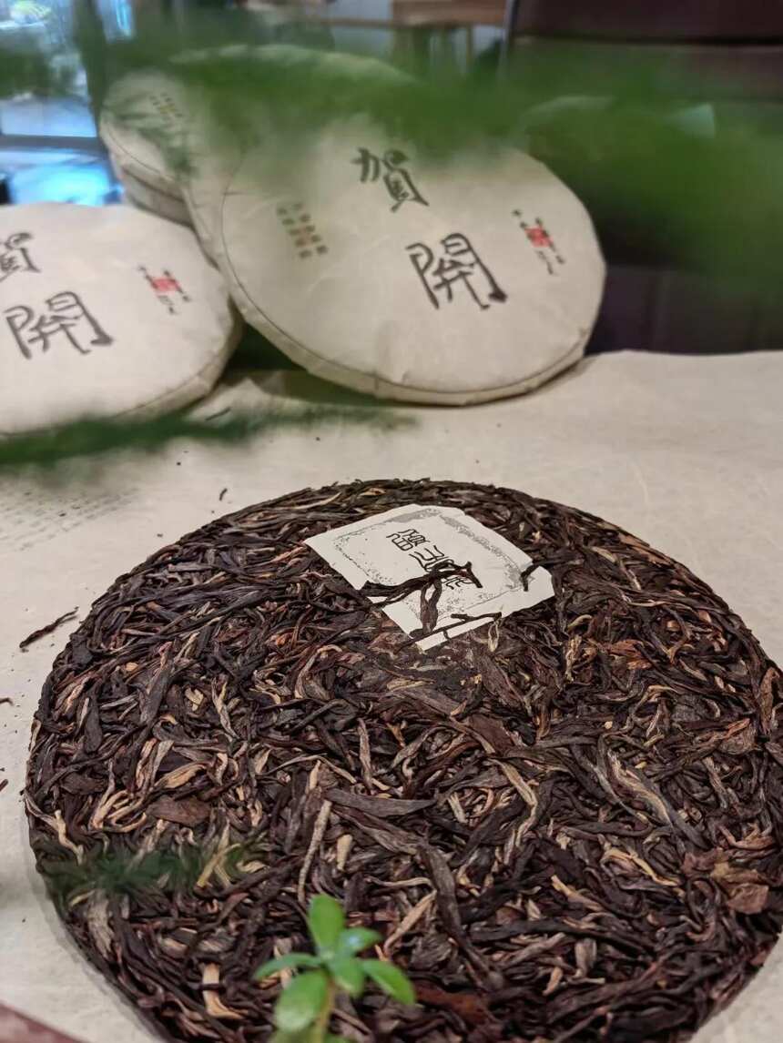 云南旅游爆火，背后的普洱茶该如何选