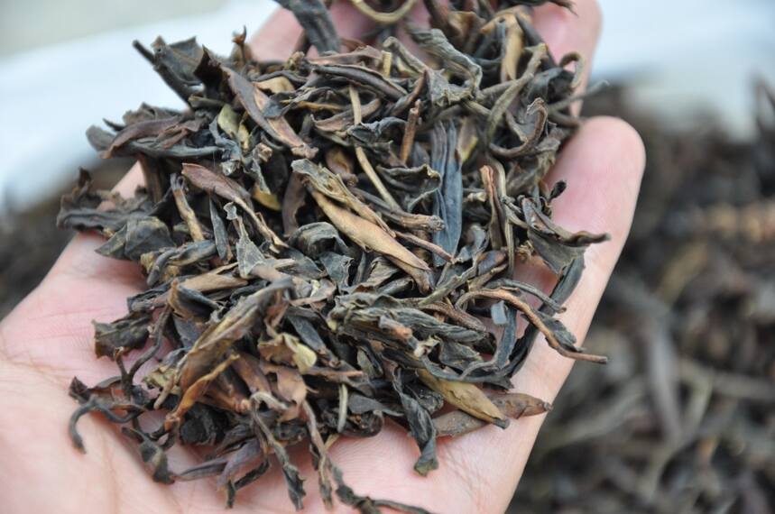 始料未及！中国红茶进口量超过出口量！中国红茶，究竟输在哪里？