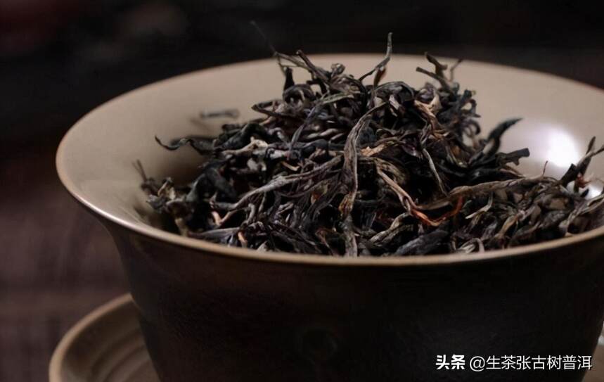 普洱茶栽培方式有几种？每种普洱茶有什么特性？哪种更好喝？